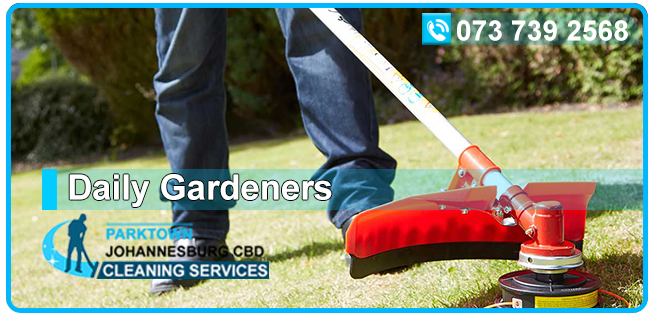 Daily Gardeners- Cleaning Services Parktown Johannesburg